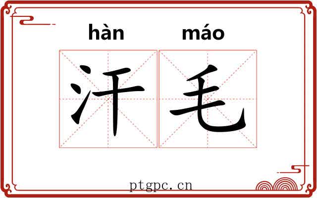 汗毛