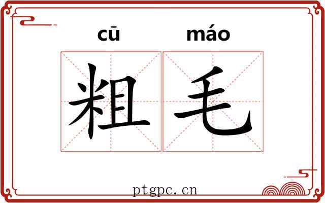 粗毛 粗毛
