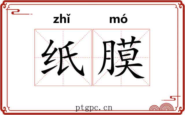 纸膜