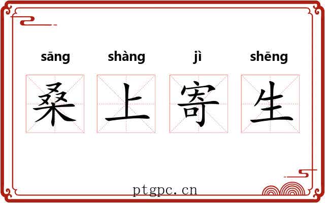 桑上寄生