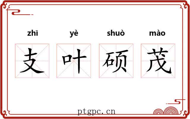 支叶硕茂 支叶硕茂