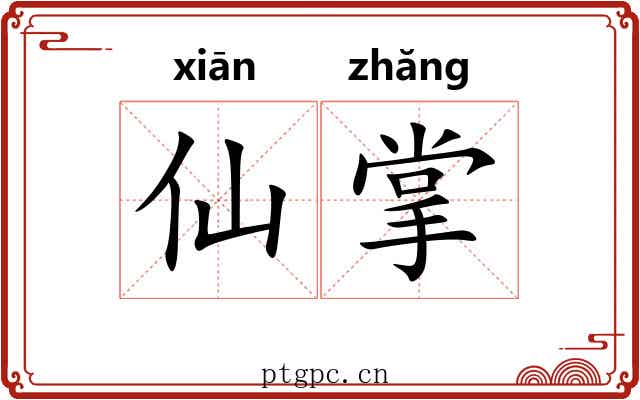仙掌 仙掌