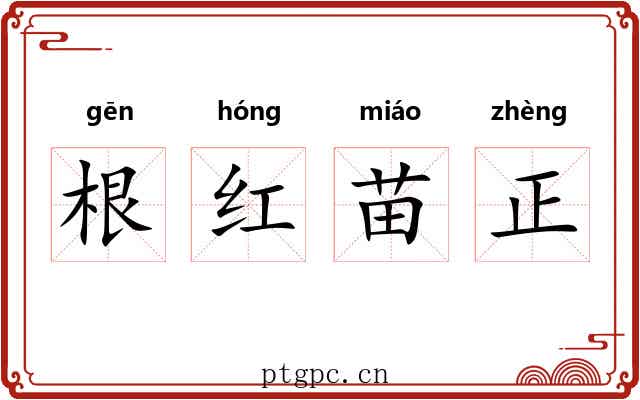 根红苗正 根红苗正