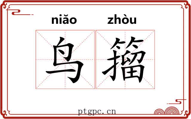 鸟籀