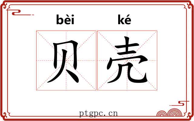 贝壳