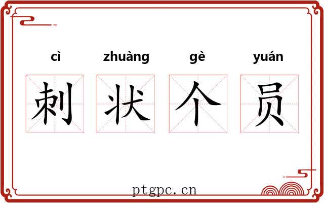 刺状个员 刺状个员