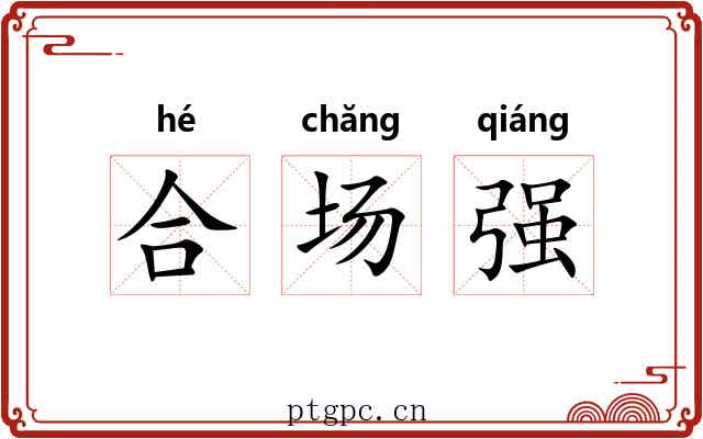 合场强 合场强