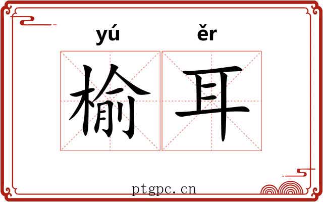 榆耳 榆耳