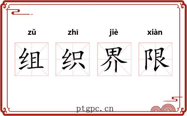 组织界限 组织界限