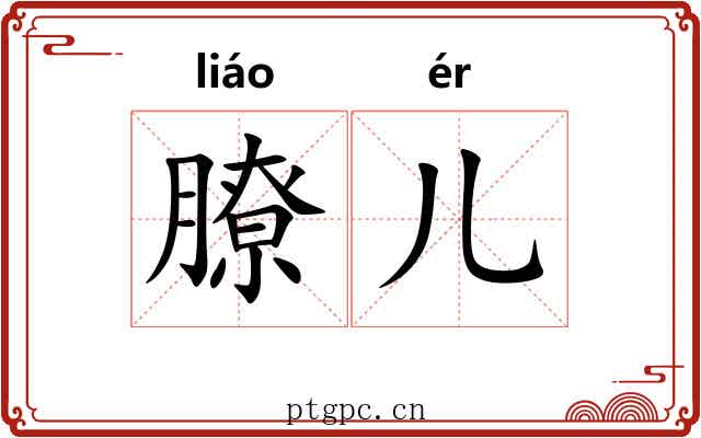 膫儿