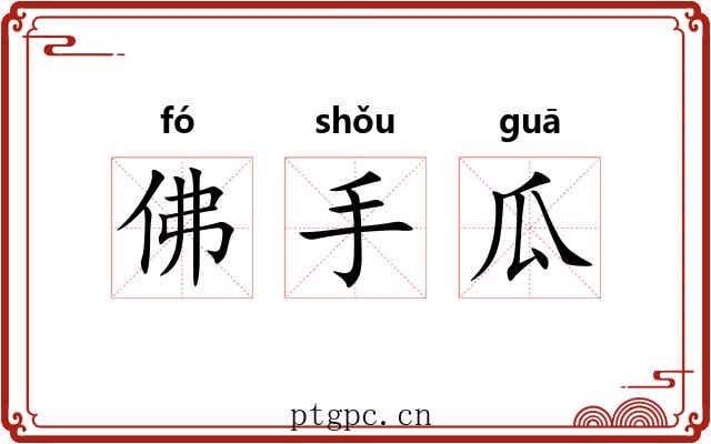 佛手瓜 佛手瓜