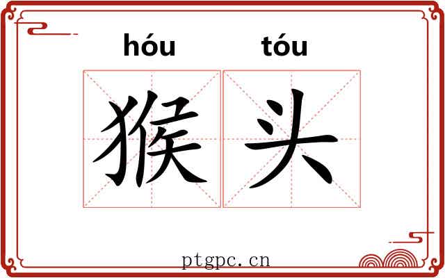 猴头 猴头