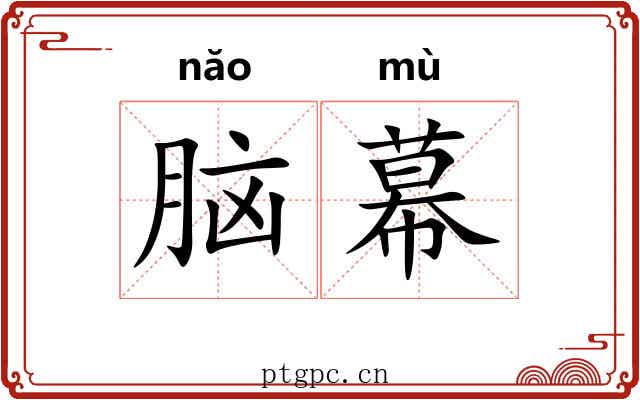脑幕 脑幕