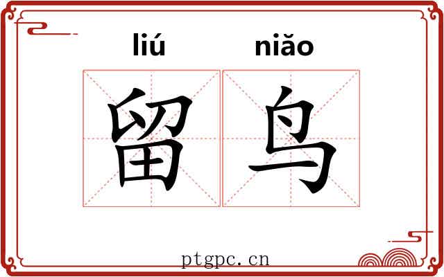 留鸟