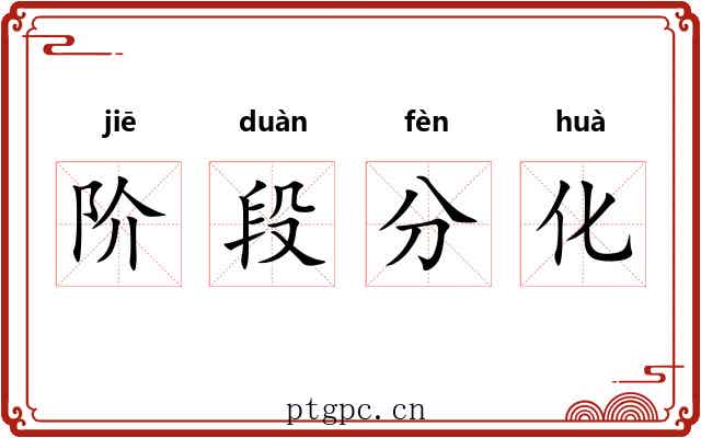 阶段分化 阶段分化
