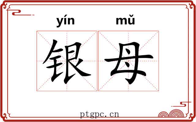 银母 银母