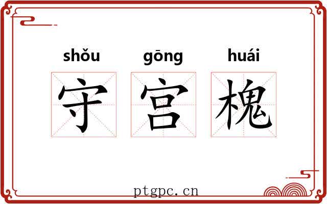 守宫槐