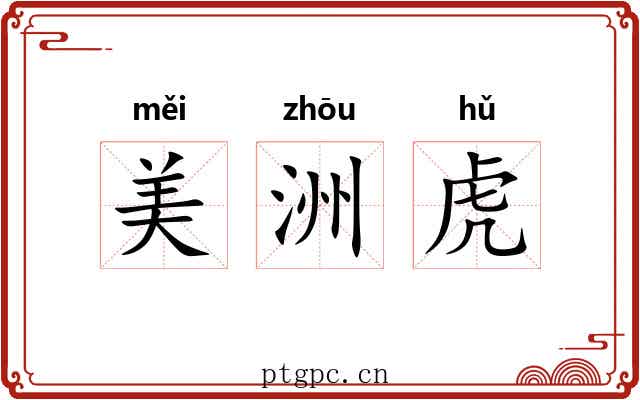 美洲虎 美洲虎