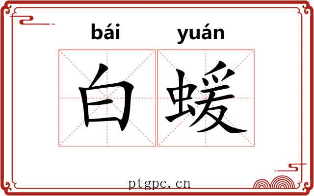 白蝯