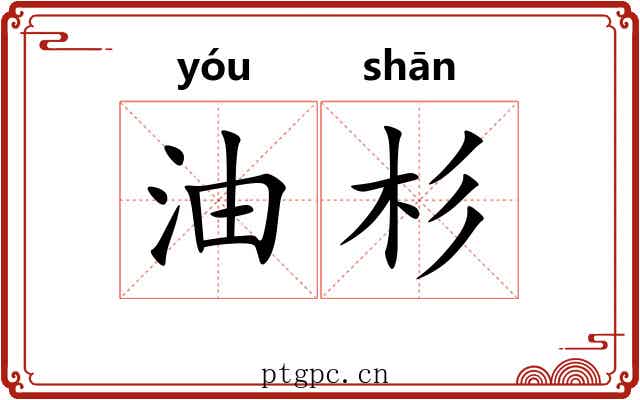 油杉