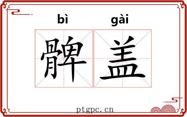 髀盖 髀盖
