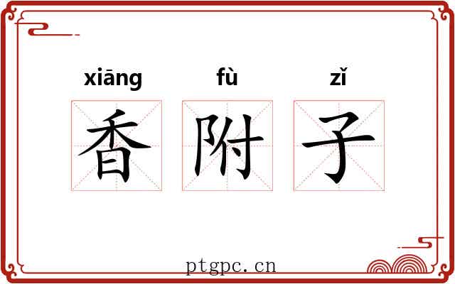 香附子