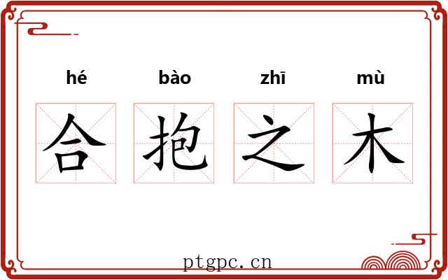 合抱之木