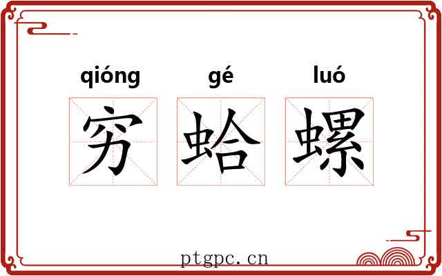 穷蛤螺 穷蛤螺