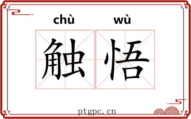 触悟