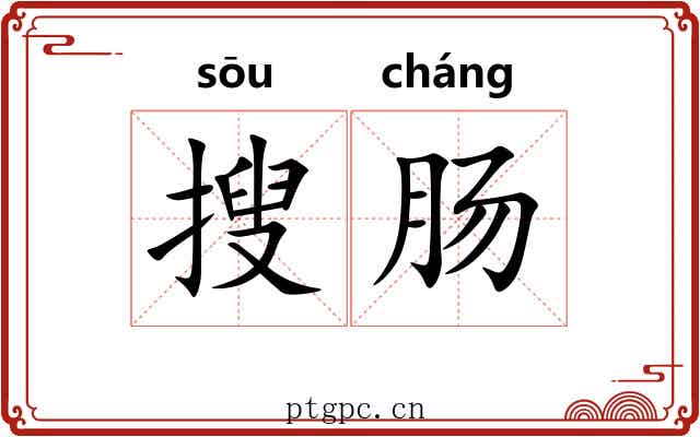 搜肠