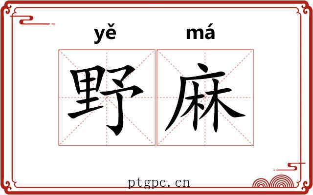 野麻 野麻