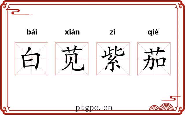 白苋紫茄