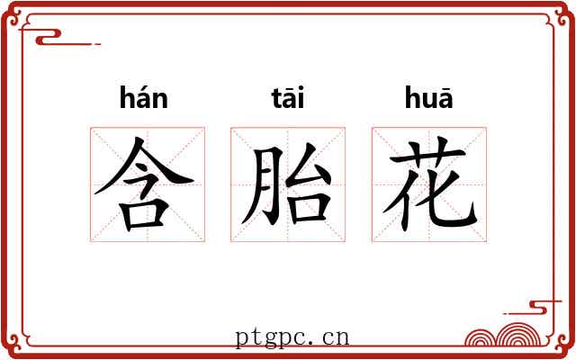 含胎花 含胎花