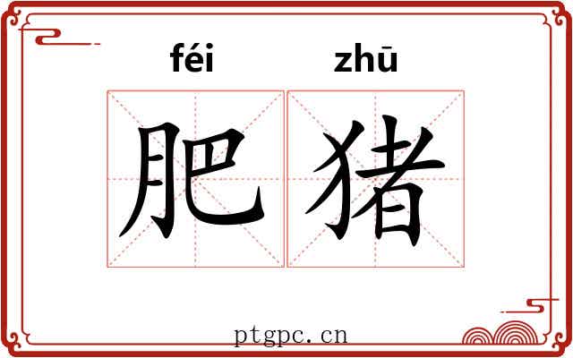 肥猪 肥猪