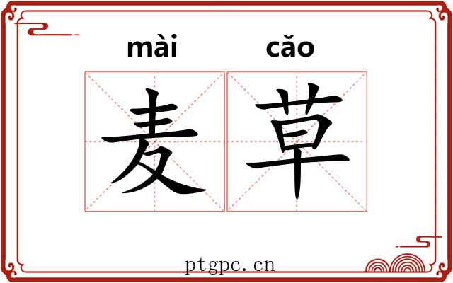 麦草 麦草