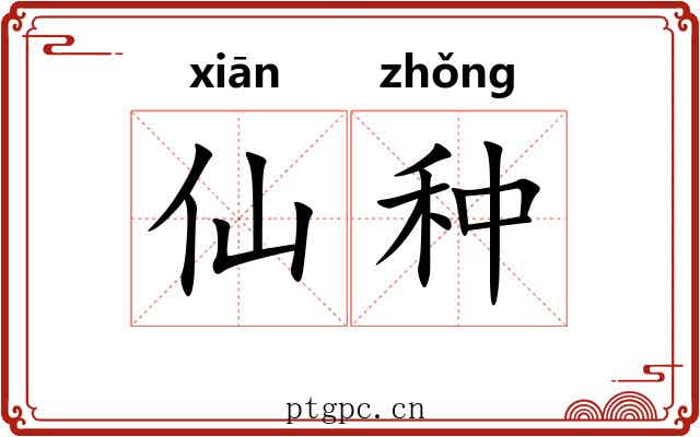 仙种 仙种