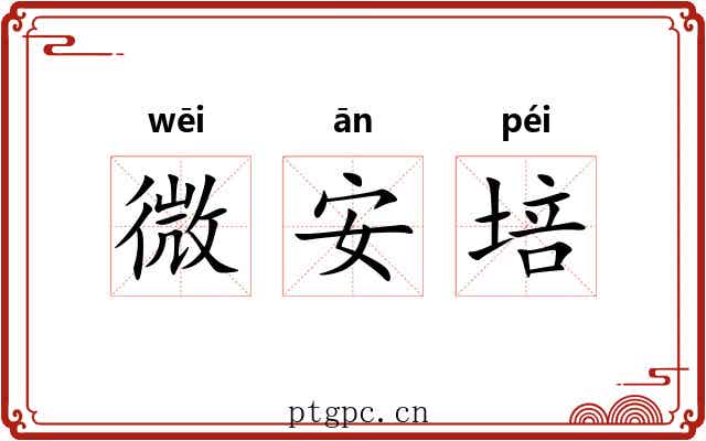 微安培 微安培