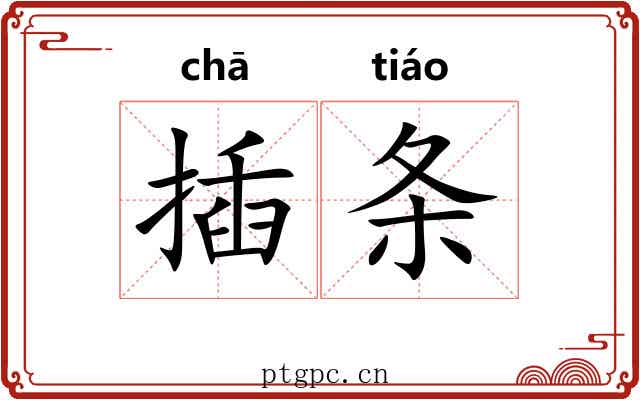 插条 插条