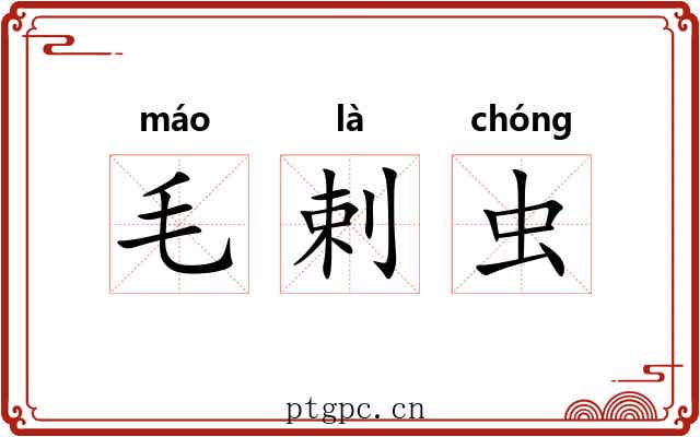 毛剌虫 毛剌虫