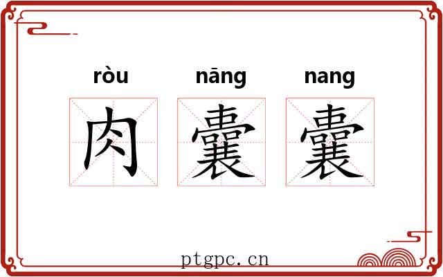 肉囊囊