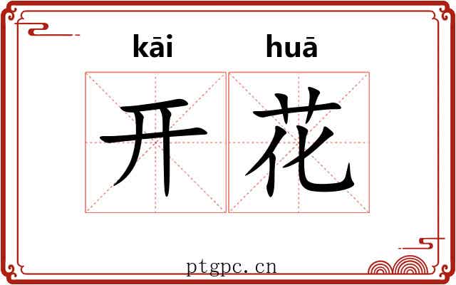 开花 开花