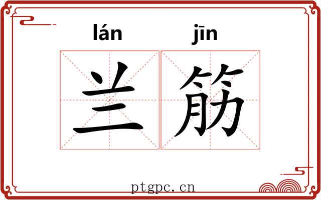 兰筋