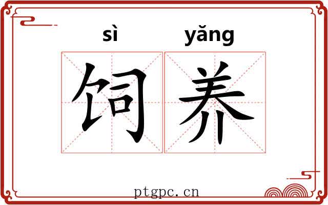 饲养