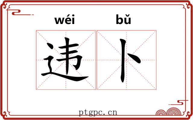 违卜