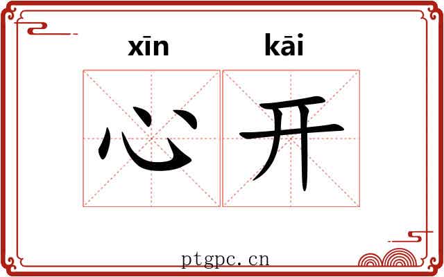 心开 心开