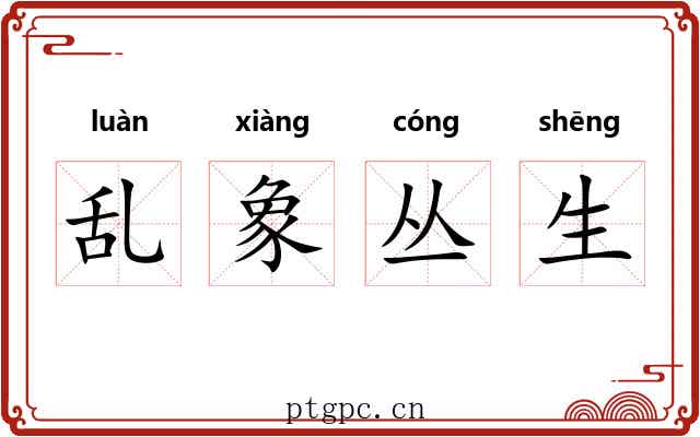 乱象丛生