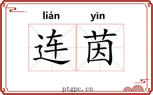 连茵