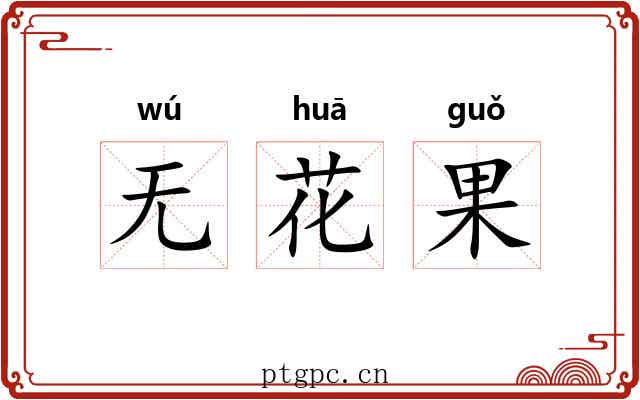 无花果 无花果