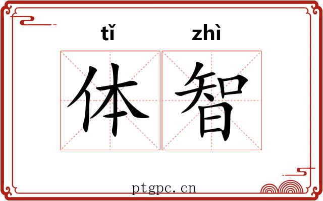 体智