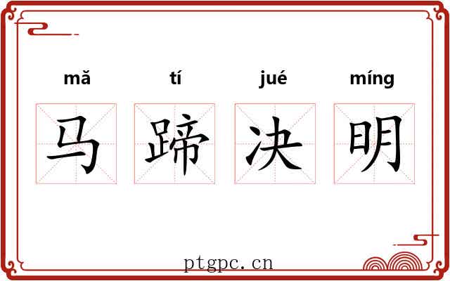 马蹄决明 马蹄决明